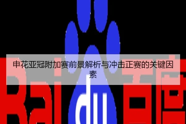 申花亚冠附加赛前景解析与冲击正赛的关键因素